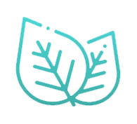 Natural capital