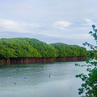 Biodiversity
